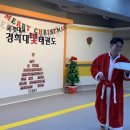 국가대표 경희대 빛 태권도 이미지