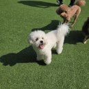 바우라움 메인캠퍼스 이미지