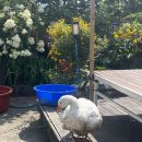상림민박 이미지