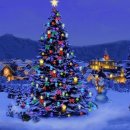 한국부부태권도 이미지