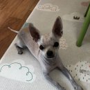 금오셀프세차장 이미지