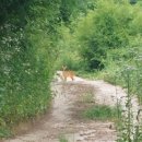 현동농장 이미지