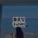 청정한 바다를 만끽한 블루밍카라반 방문 후기
