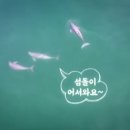 오병이어농장 이미지