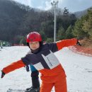 충효예무술관 이미지