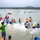 표선리-31 이미지