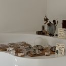 남원읍 장터가든 맞은편 주차장 | [하동 디저트] 밤파이 맛집 밤톨 내돈내산 후기