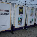 안양평화의소녀상 이미지