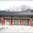 죽정 Daum카페