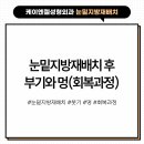 케이엔젤성형외과의원 이미지