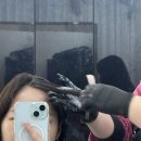 살롱 파마다 | 천호 미용실 BEST, 퍼스널 스타일링 가능한 살롱드온 천호에서 파마하고 온 후기