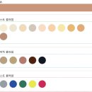 11545-05-01-36 | 먼지나방 스토그래피 퍼스털컬러 진단 후기. 봄웜 봄라이트