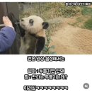 생일선물로 입술필러 맞는 녀성