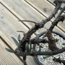 용등농장 이미지