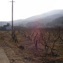 소월1리 이미지