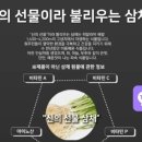 칼로핏 - 제천시 청풍호로 49 | 칼로핏
