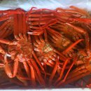 화신홍게수산