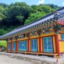옥포읍 행정복지센터 앞 | 용연사/대구시 달성군 옥포읍