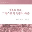 바울의 복음, 그리스도의 영광의 복음 존 기포드 벨렛 선집 2 / (Pauls Apostleship and Epistles) 이미지