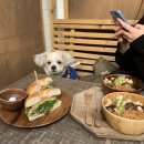 땡스오트 연남 이미지