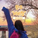 구만2리 낙조전망대 | 전북 완주 가볼 만한 곳 봄나들이 드라이브 명소 벚꽃 구경 삼례 비비정에서 바라보는 석양