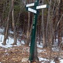 저수령 목장 | 백두대간 [15th] 차갓재-황장산-저수령.. 황장산 정상에 크리스마스트리가.