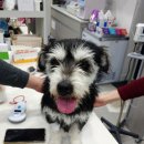 추정2리 이미지