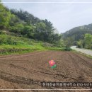 (매매완료)경남고성부동산 - 상리면 접근성 좋고 햇살고운 저렴한 토지매매 1259제곱미터 (381) 이미지