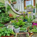 생각나무작은도서관 이미지