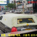 백년장례문화원