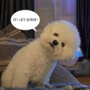 등갈비꾼 - 통영시 무전6길 48 | 등갈비꾼
