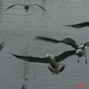 아키아트건축사사무소 이미지