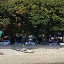 초전마을야영장 네이버블로그