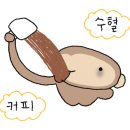 카페커몽