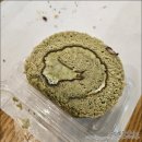르안데르센베이커리