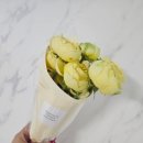 퀸부띠끄 이미지