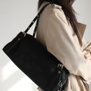 아델리아 이미지