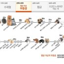 동탄중앙동물병원 이미지