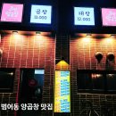 2565 | 대구 수성구 범어동 곱창 맛집 조선양곱창 가성비 회식 추천 솔직 후기