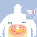 레드스타필드 휘트니스 이미지