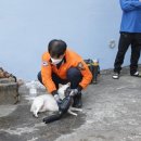 고양이에개