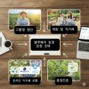 개척농장 | 효율적인 블루베리 농장 운영 전략.