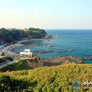 11월24일(토요일) 포항정모에 여러분을 울진으로 초대합니다 이미지