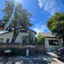 5월 감꽃 10월 홍시 이미지