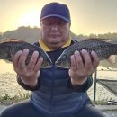 대물낚시터 이미지