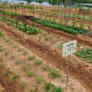 도담농장 이미지