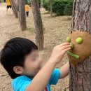 윤희유치원 이미지