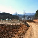 김유정문학마을 이미지