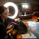 퍼스널디테일링 | 강남 두피문신 잘하는 곳 찾으시나요? 색 번짐 걱정 없는 스칼프강의 정밀 타격 기술