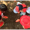 아이그루유치원 이미지